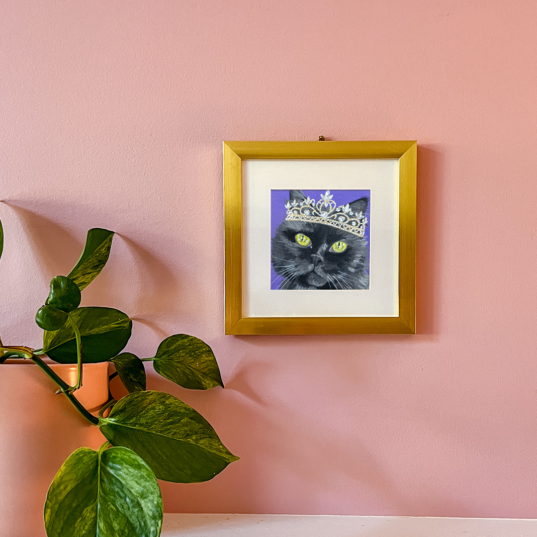 Cat 16: Sota Art Print