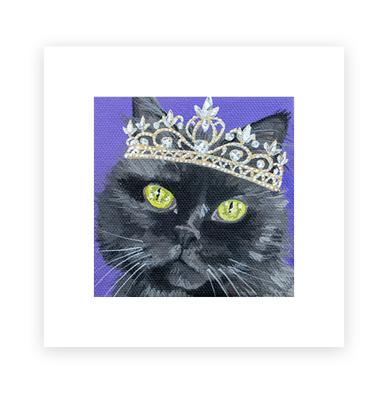 Cat 16: Sota Art Print