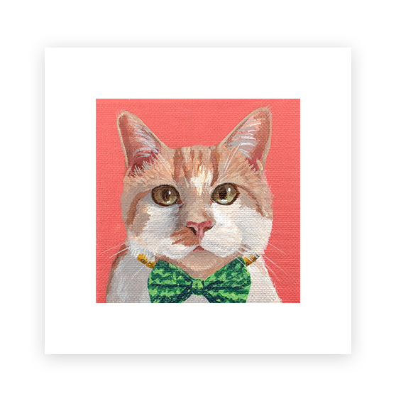 Cat 4: Allan