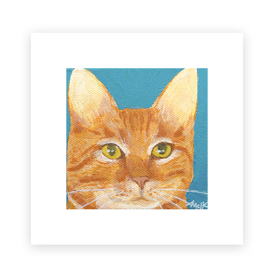 Cat 1: Bob