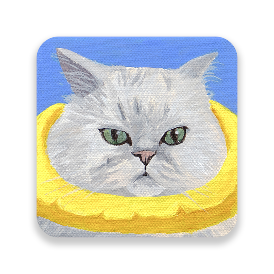 Sticker - 100 Cats