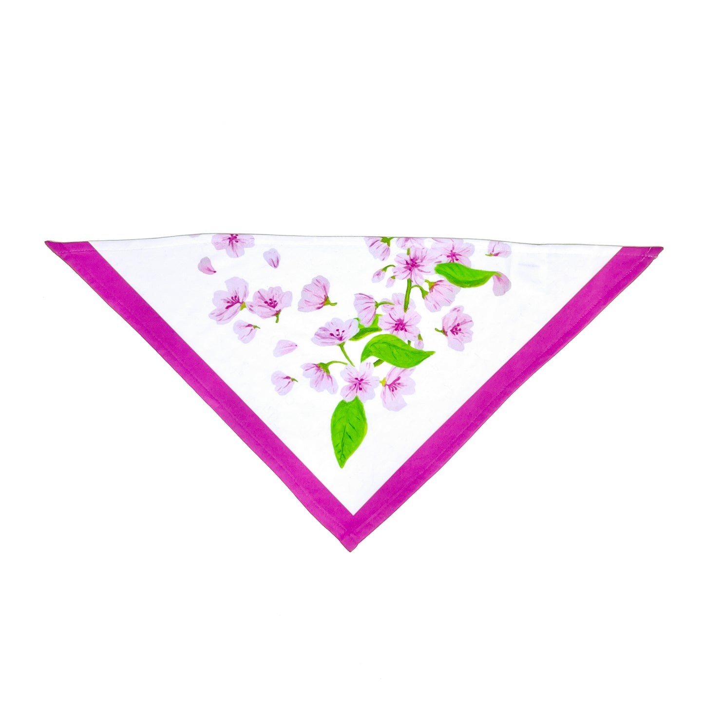 Cat and Small Dog Bandana