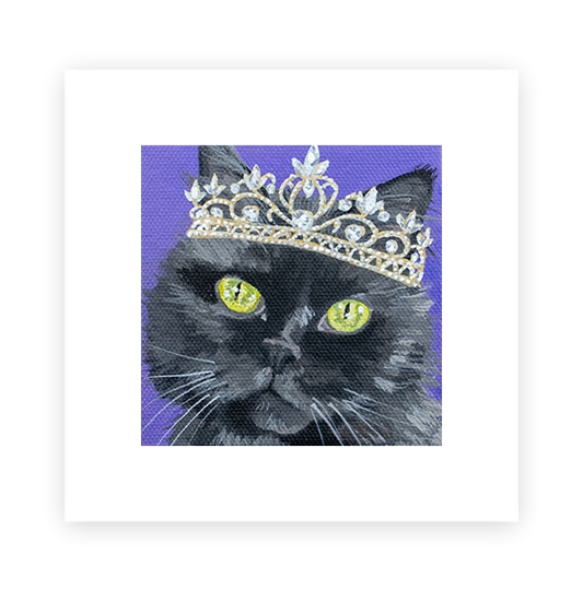 Cat 16: Sota Art Print