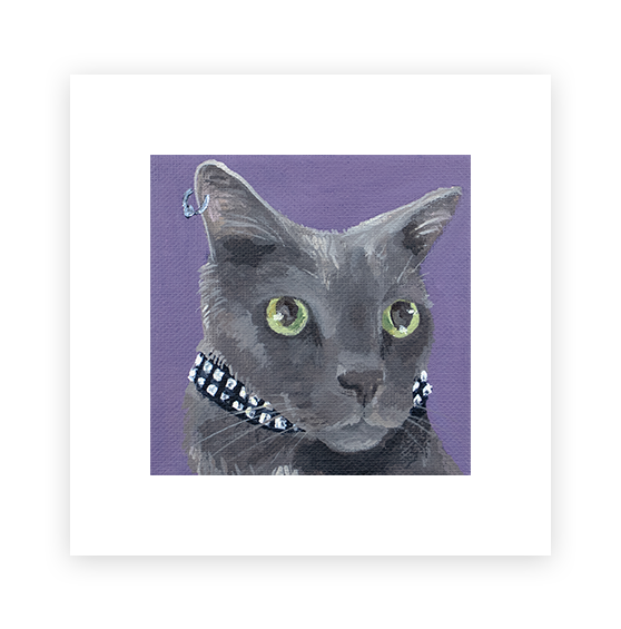 Cat 47: Connor Art Print