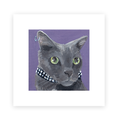 Cat 47: Connor Art Print