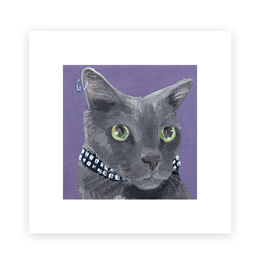 Cat 47: Connor Art Print