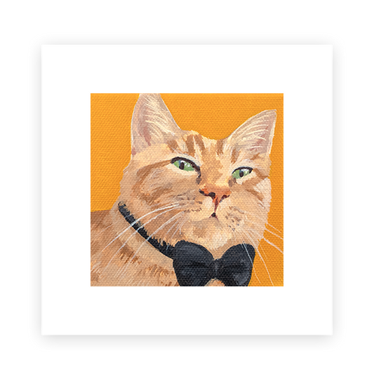 Cat 49: Fergus Argyle McKlusky Art Print