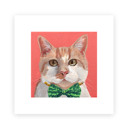 Cat 4: Allan