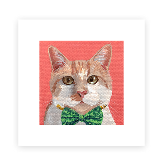 Cat 4: Allan