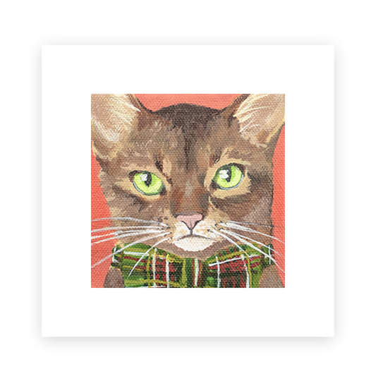 Cat 6: Reggie
