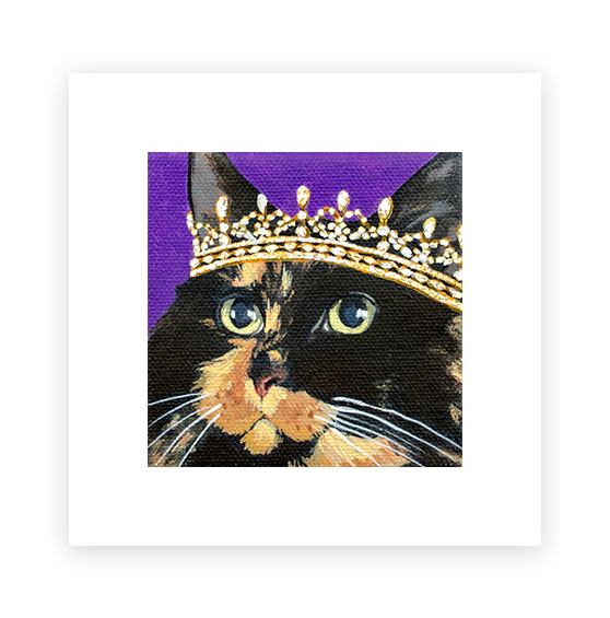 Cat 7: Chelsea