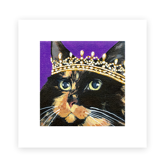 Cat 7: Chelsea