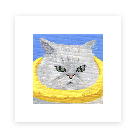 Cat 95: Tofu Art Print