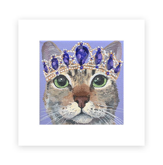 Cat 9: Lily