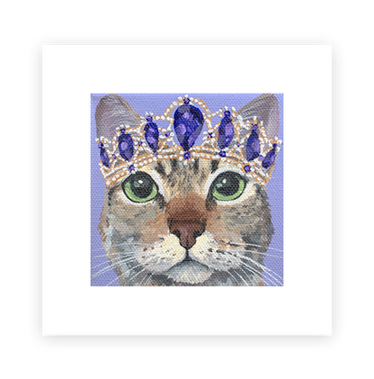 Cat 9: Lily