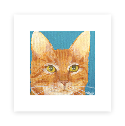 Cat 1: Bob
