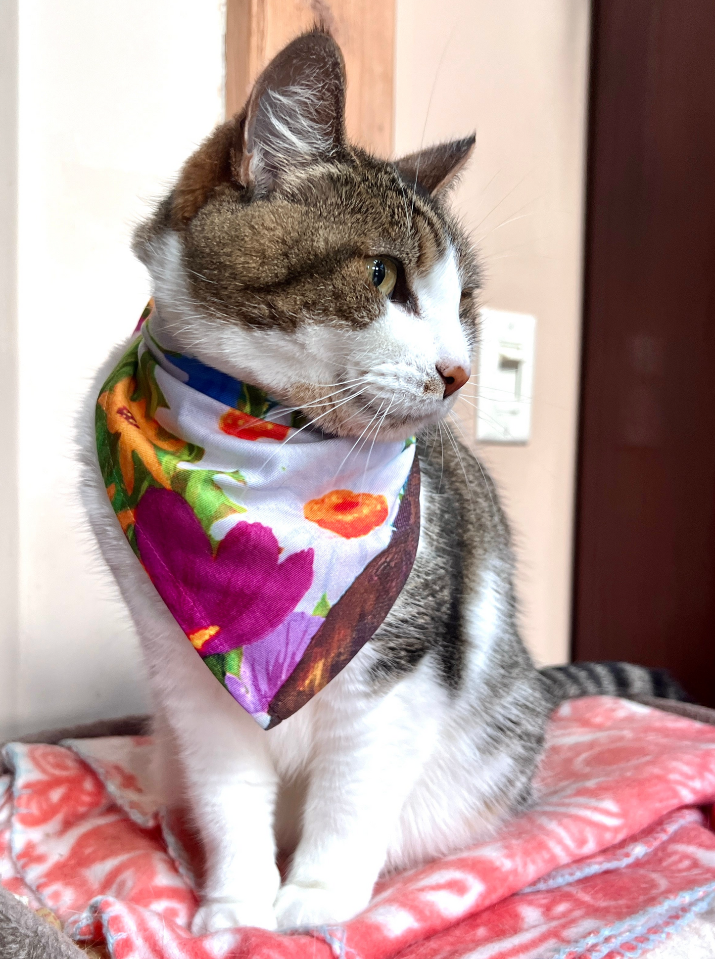 Cat and Small Dog Bandana