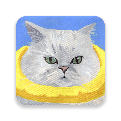 Sticker - 100 Cats