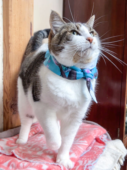 Kitty & Me Matching Scarf and Bandana