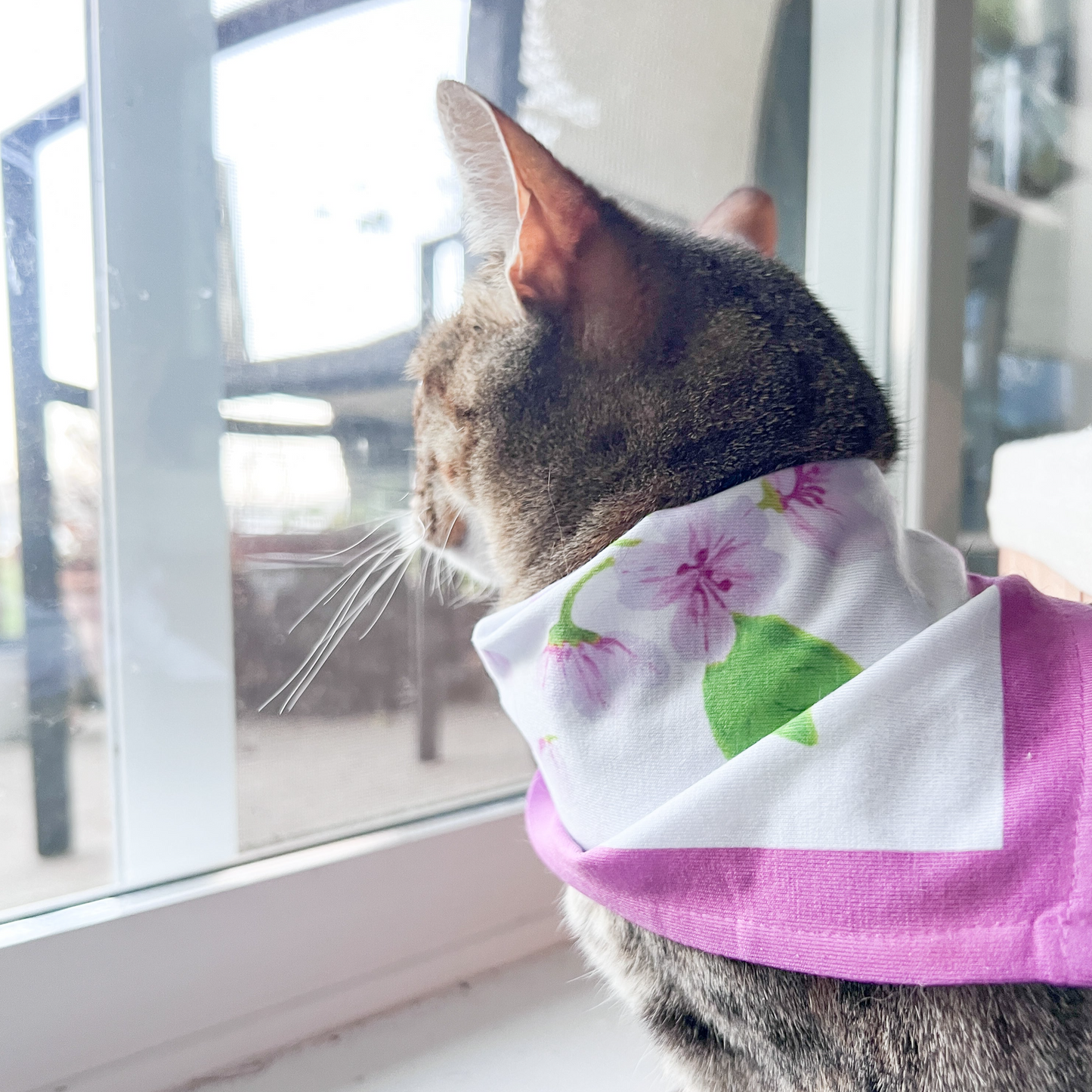 Kitty & Me Matching Scarf and Bandana